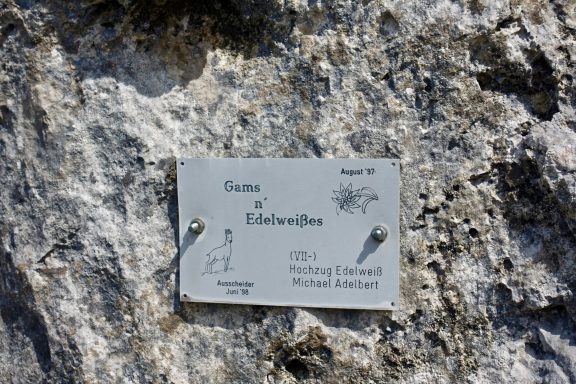 Beschreibungsschild an einem Felsen mit Symbolen und Informationen über den Standort.