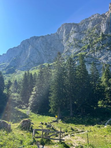 Berglandschaft mit steilen Felsen und einem Wald im Vordergrund.