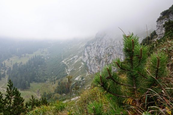 Berglandschaft mit nebligen Himmel und bewaldeten Hängen.